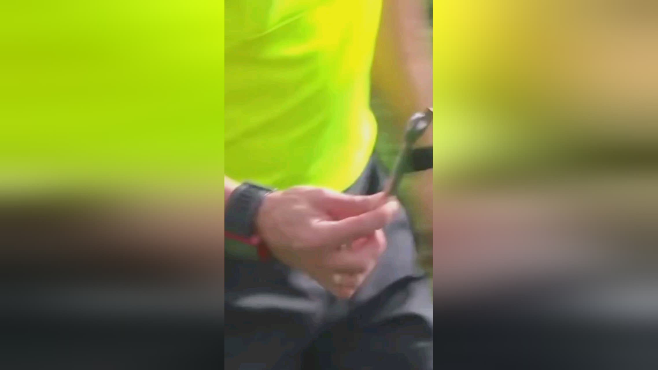 时担任